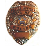 COSTA MESA, CA POLICE DEPARMENT MINI BADGE PIN